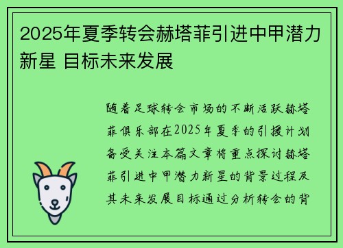 2025年夏季转会赫塔菲引进中甲潜力新星 目标未来发展